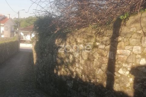Terra a Vairao, Porto, Vairao - € 500.000 | Ref: ZMPT586992 - foto 12