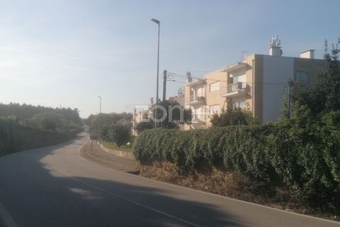 Terra a Vairao, Porto, Vairao - € 500.000 | Ref: ZMPT586992 - foto 13