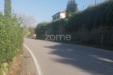 Terra a Vairao, Porto, Vairao - € 500.000 | Ref: ZMPT586992 - foto 11