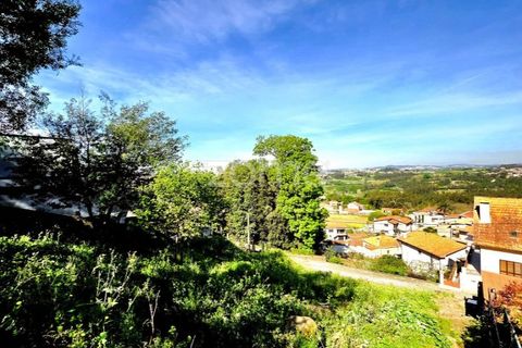Tomt i Santo Tirso, Porto, Santo Tirso - € 58 000 | Ref: ZMPT586756 - foto 21
