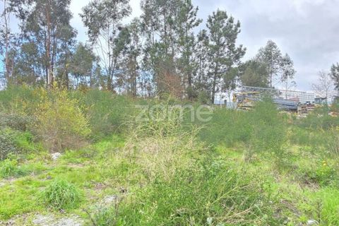 Helårsgrund i Vila Verde, Braga, Vila Verde - € 199.750 | Ref: ZMPT586546 - foto 14