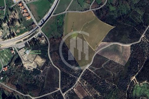 Helårsgrund i Nelas, Viseu, Nelas - € 215.000 | Ref: SÒL_108 - foto 2