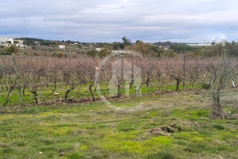 Helårsgrund i Nelas, Viseu, Nelas - € 215.000 | Ref: SÒL_108 - foto 3