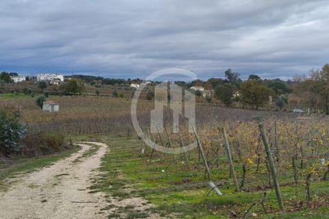 Helårsgrund i Nelas, Viseu, Nelas - € 215.000 | Ref: SÒL_108 - foto 4