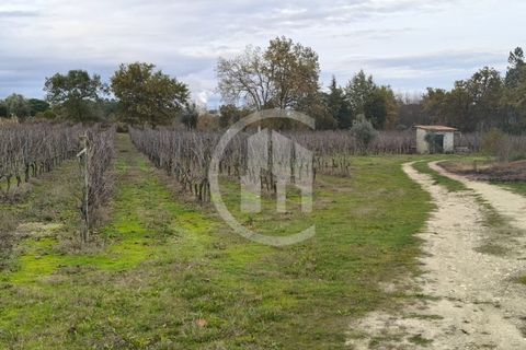 Helårsgrund i Nelas, Viseu, Nelas - € 215.000 | Ref: SÒL_108 - foto 5