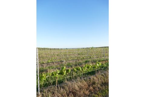 Farm i Cuba, Beja, Cuba - € 850.000 | Ref: GB011 - foto 2