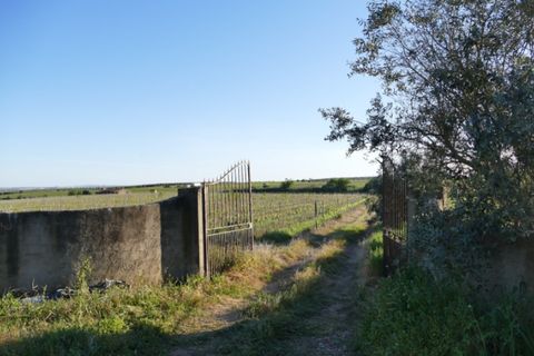 Farm i Cuba, Beja, Cuba - € 850.000 | Ref: GB011 - foto 3