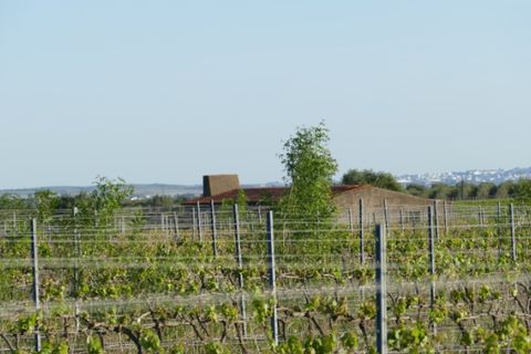 Farm i Cuba, Beja, Cuba - € 850.000 | Ref: GB011 - foto 4