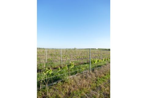Farm i Cuba, Beja, Cuba - € 850.000 | Ref: GB011 - foto 5
