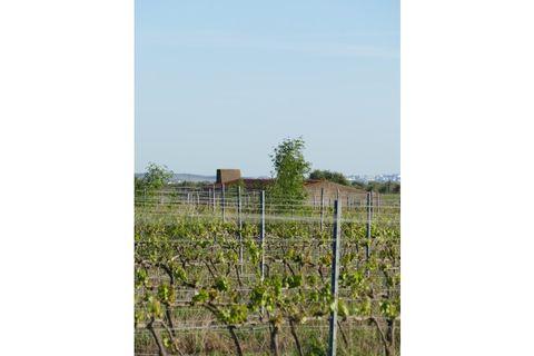 Farm i Cuba, Beja, Cuba - € 850.000 | Ref: GB011 - foto 6