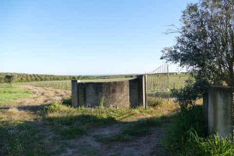 Farm i Cuba, Beja, Cuba - € 850.000 | Ref: GB011 - foto 9