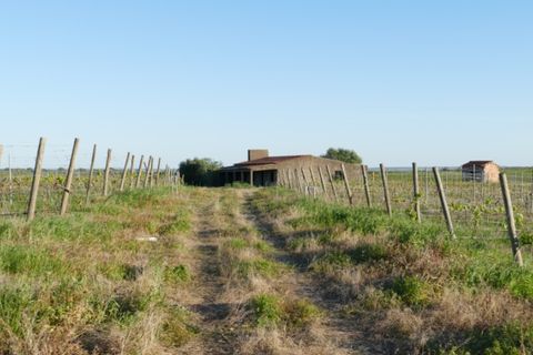 Farm i Cuba, Beja, Cuba - € 850.000 | Ref: GB011 - foto 12