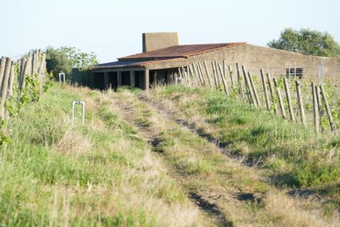 Farm i Cuba, Beja, Cuba - € 850.000 | Ref: GB011 - foto 14