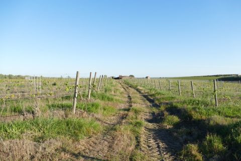 Farm i Cuba, Beja, Cuba - € 850.000 | Ref: GB011 - foto 16
