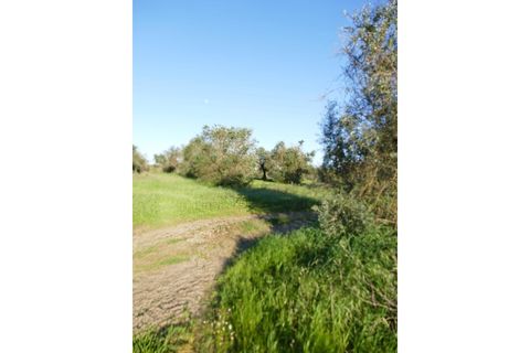 Farm i Cuba, Beja, Cuba - € 850.000 | Ref: GB011 - foto 25