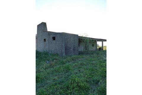Farm i Cuba, Beja, Cuba - € 850.000 | Ref: GB011 - foto 28