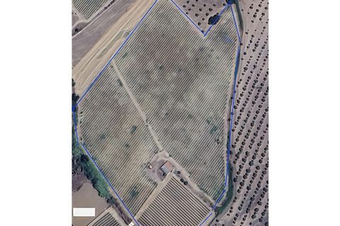 Farm i Cuba, Beja, Cuba - € 850.000 | Ref: GB011 - foto 31