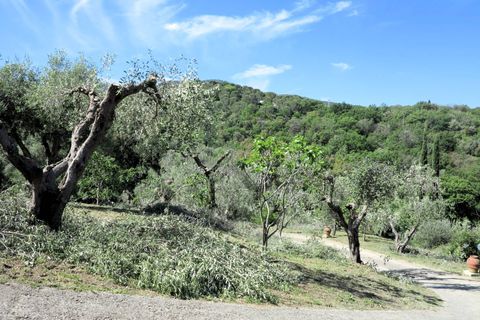 Landejendom i Scarlino, Grosseto, Scarlino - € 330.000 | Ref: 1426 - foto 8