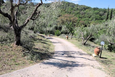 Landejendom i Scarlino, Grosseto, Scarlino - € 330.000 | Ref: 1426 - foto 10