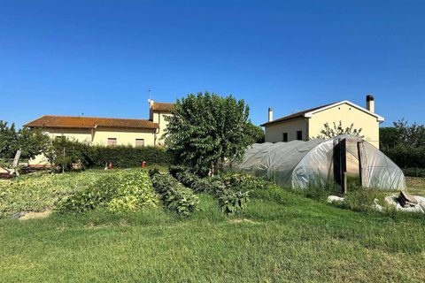 Farm hus i Grosseto, Grosseto, Grosseto - € 1.500.000 | Ref: a7631ta2369039a - foto 23