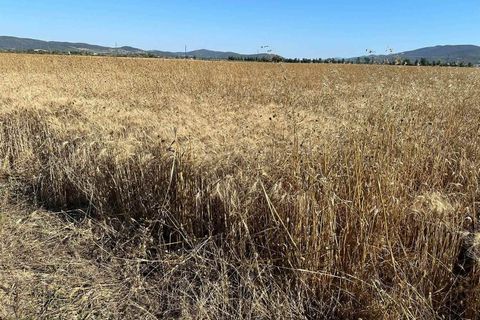 Farm hus i Grosseto, Grosseto, Grosseto - € 1.500.000 | Ref: a7631ta2369039a - foto 24