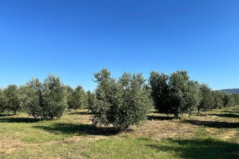Farm hus i Grosseto, Grosseto, Grosseto - € 1.500.000 | Ref: a7631ta2369039a - foto 25