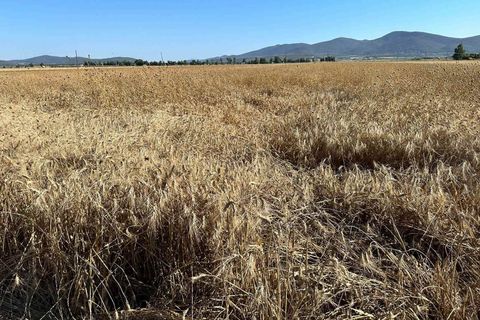 Farm hus i Grosseto, Grosseto, Grosseto - € 1.500.000 | Ref: a7631ta2369039a - foto 26