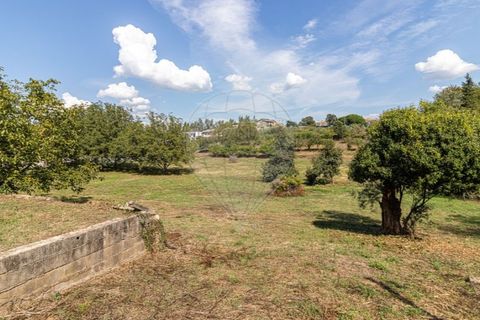 Helårsgrund i Gondomar, Porto, Gondomar - € 690.000 | Ref: 120781589-217 - foto 4