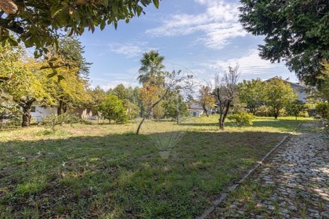 Farm i Gondomar, Porto, Gondomar - € 950.000 | Ref: 120781589-218 - foto 10