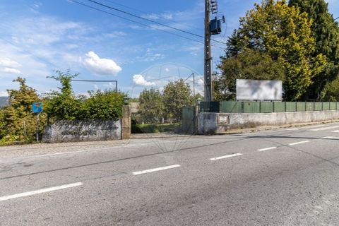 Farm i Gondomar, Porto, Gondomar - € 950.000 | Ref: 120781589-218 - foto 42