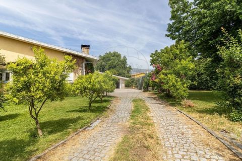 Villa a Vila Real, Vila Real, Vila Real - € 650.000 | Ref: 120781590-54 - foto 4