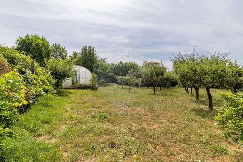Villa a Vila Real, Vila Real, Vila Real - € 650.000 | Ref: 120781590-54 - foto 28