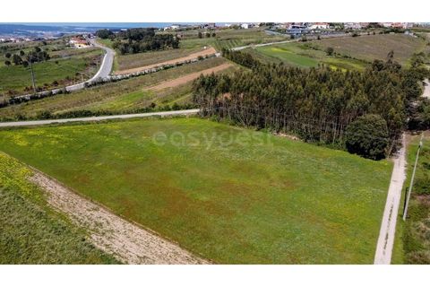 Helårsgrund i Obidos, Leiria, Obidos - € 90.000 | Ref: LA98960NN - foto 2