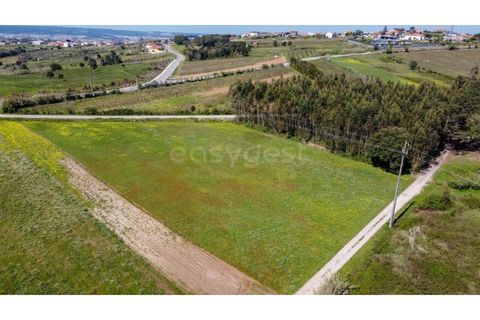 Helårsgrund i Obidos, Leiria, Obidos - € 90.000 | Ref: LA98960NN - foto 4