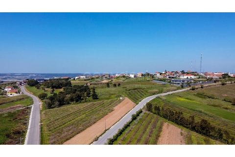 Helårsgrund i Obidos, Leiria, Obidos - € 90.000 | Ref: LA98960NN - foto 8