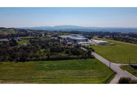 Helårsgrund i Obidos, Leiria, Obidos - € 90.000 | Ref: LA98960NN - foto 9