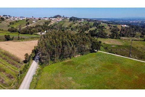Helårsgrund i Obidos, Leiria, Obidos - € 90.000 | Ref: LA98960NN - foto 11