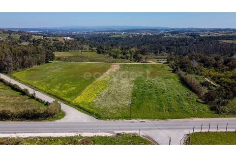 Helårsgrund i Obidos, Leiria, Obidos - € 90.000 | Ref: LA98960NN - foto 12