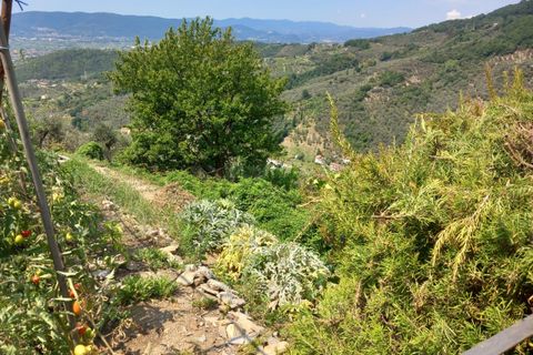 Leilighet i Luni, La Spezia, Luni - € 250 000 | Ref: 2528 - foto 25