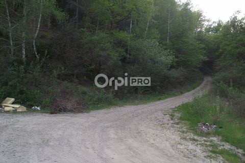 Terra a Naves, Correze, Naves - € 39.800 | Ref: 19_0131 - foto 2