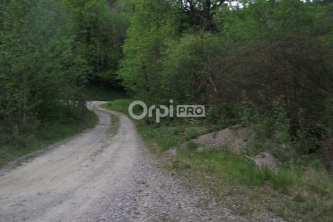 Terra a Naves, Correze, Naves - € 39.800 | Ref: 19_0131 - foto 3