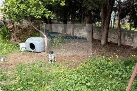 Villa a Siracusa, Siracusa, Siracusa - € 45.000 | Ref: RIF. SR VCAM 83 - foto 33
