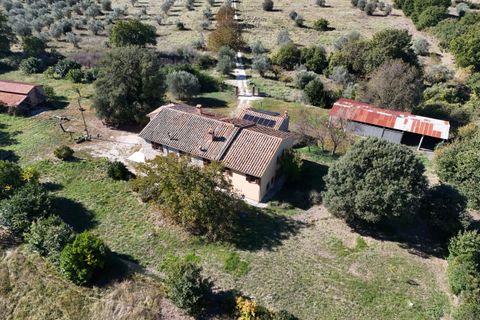 Villa i Amelia, Terni, Amelia - € 560.000 | Ref: PorchianoO10 - foto 5