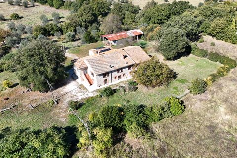 Villa i Amelia, Terni, Amelia - € 560.000 | Ref: PorchianoO10 - foto 6