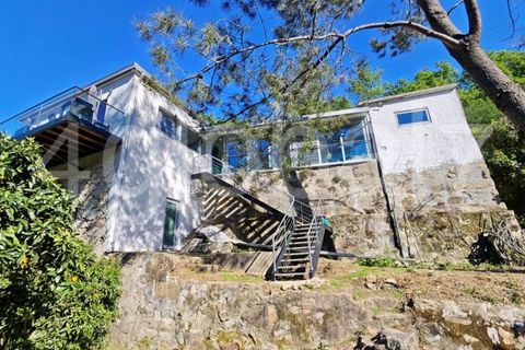 Villa i Sever do Vouga, Aveiro, Sever do Vouga - € 419.000 | Ref: MOR_01265391 - foto 24