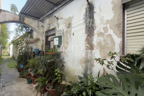 Villa i Coimbra, Coimbra, Coimbra - € 565.000 | Ref: ZMPT587267 - foto 7