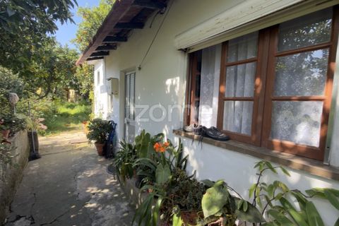 Villa i Coimbra, Coimbra, Coimbra - € 565.000 | Ref: ZMPT587267 - foto 13