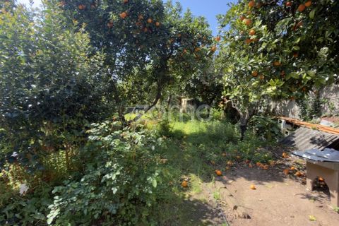 Villa i Coimbra, Coimbra, Coimbra - € 565.000 | Ref: ZMPT587267 - foto 14