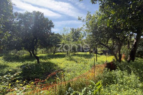 Villa i Coimbra, Coimbra, Coimbra - € 565.000 | Ref: ZMPT587267 - foto 15