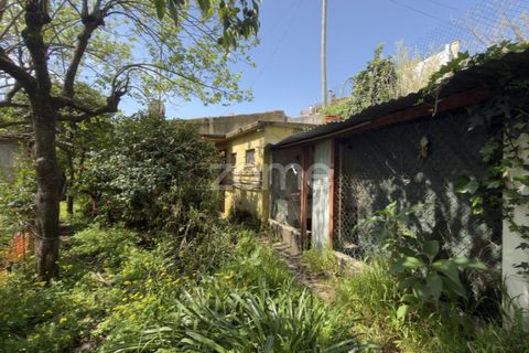 Villa i Coimbra, Coimbra, Coimbra - € 565.000 | Ref: ZMPT587267 - foto 16